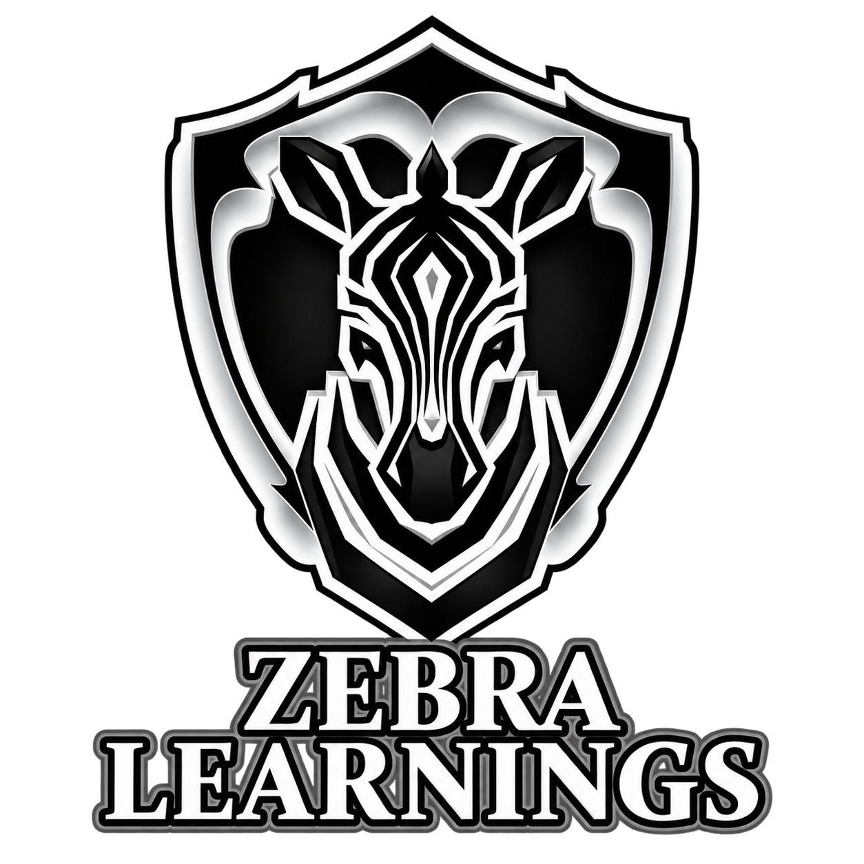 Zebra Learnings